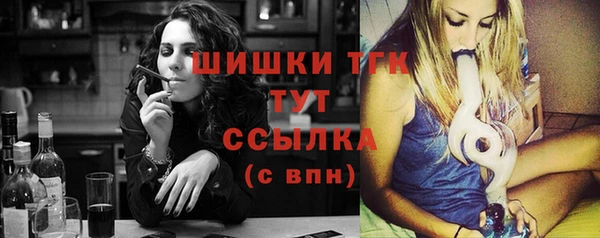 бошки Инта