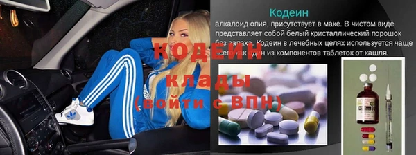 бошки Инта