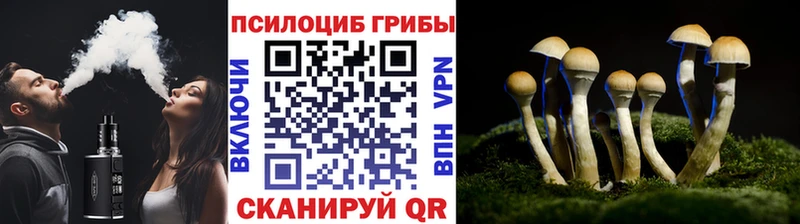 Псилоцибиновые грибы мицелий  Купить где  Воткинск 